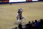 Quadrille - 00335